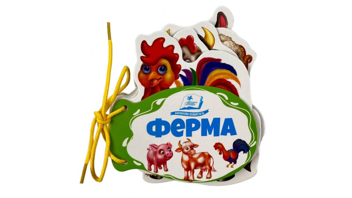 Книга картонка на шнурівці Пегас